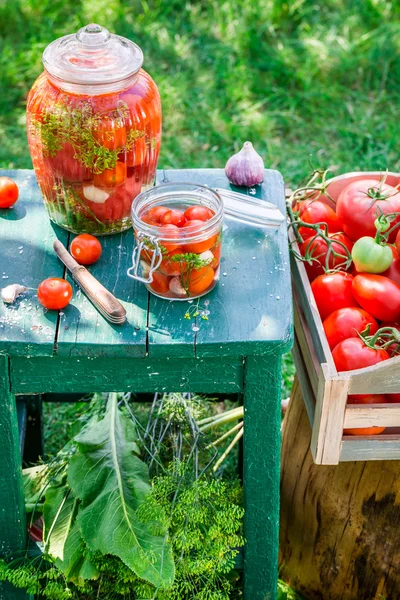 Produkcja konserw pomidorów w ogrodzie — Zdjęcie stockowe