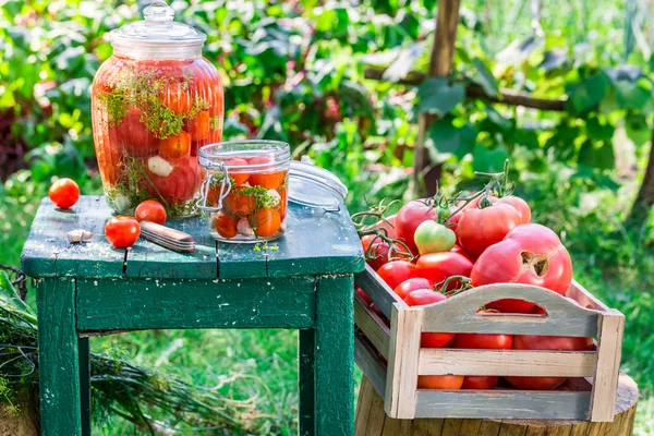 Production of canned tomatoes in the jar — Stock Photo, Image