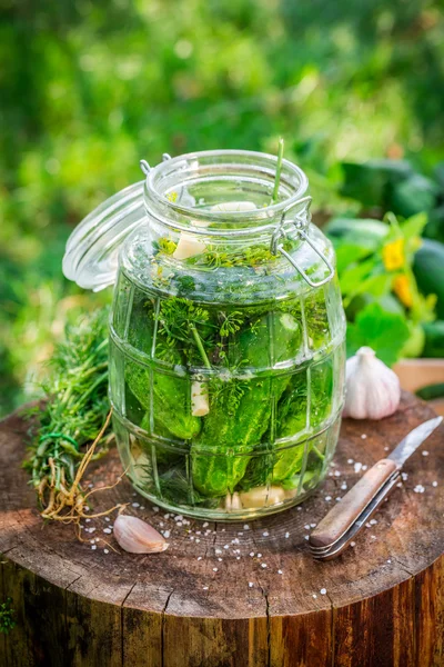 Hausgemachte Gurkenkonserven im Garten — Stockfoto