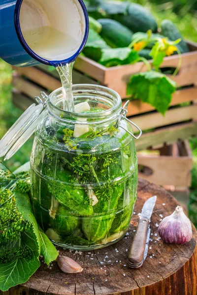 Natural canned cucumber in the jar — Stock Photo, Image