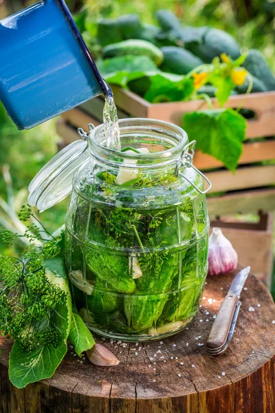 Yaz aylarında ev yapımı turşu salatalık — Stok fotoğraf