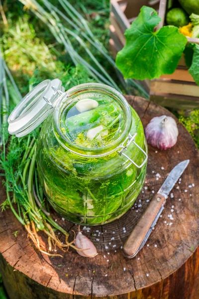 Kavanoz içinde doğal turşusu salatalık — Stok fotoğraf