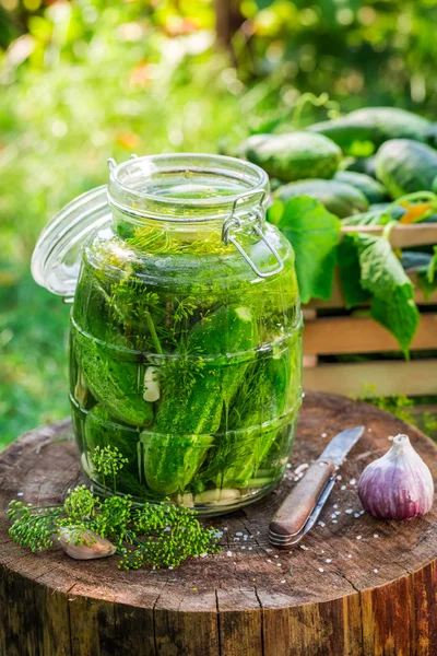 Kavanoz içinde konserve salatalık için hazırlık — Stok fotoğraf