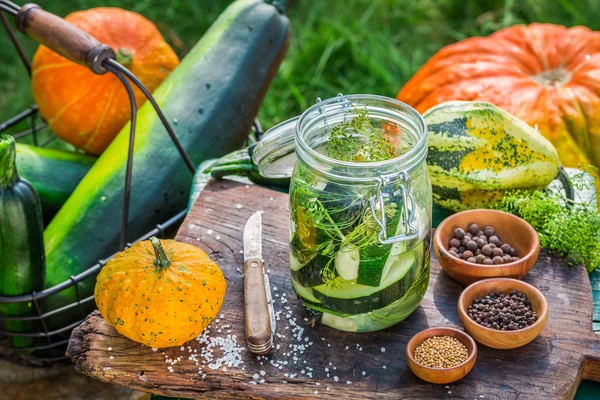 Zelfgemaakte ingemaakte courgette in de tuin — Stockfoto