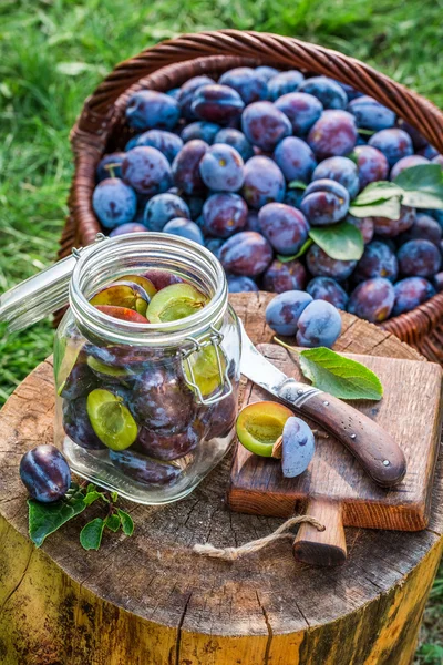 Prunes marinées maison dans le bocal — Photo