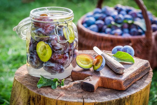 Ingredientes para ameixas enlatadas no jardim — Fotografia de Stock