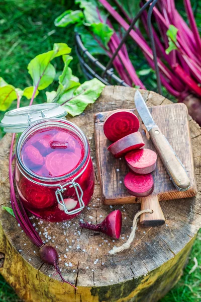 Homemade canned beetroots in the jar — Stock Photo, Image