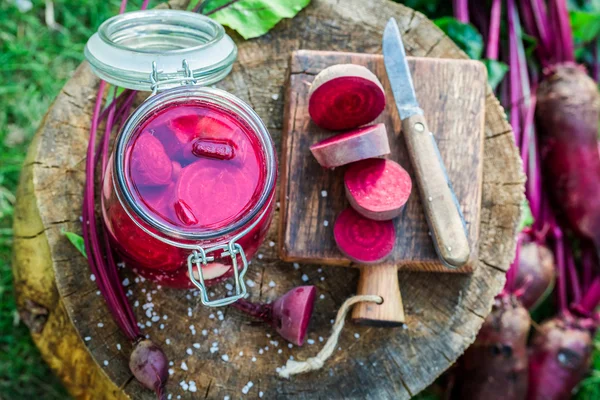 Ingredients for canned beetroots in the jar — Stock Photo, Image