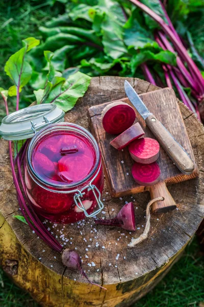 Ingredientes para remolachas enlatadas en verano —  Fotos de Stock