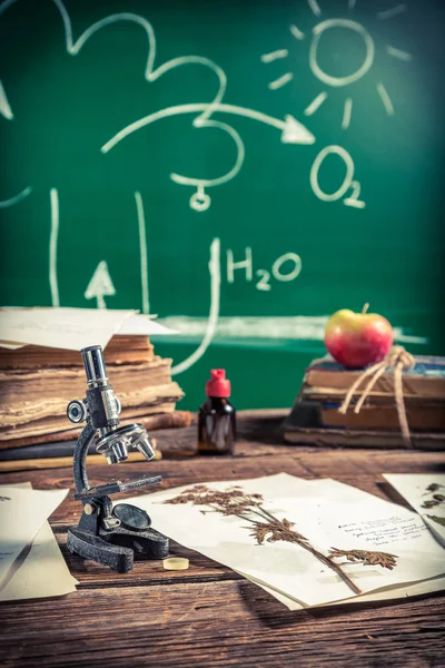 stock image Study of plants under the microscope for biology lessons