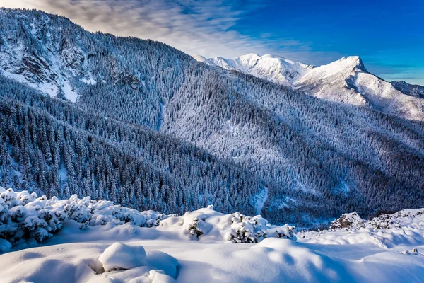 Amanecer frío en las montañas Tatra — Foto de Stock