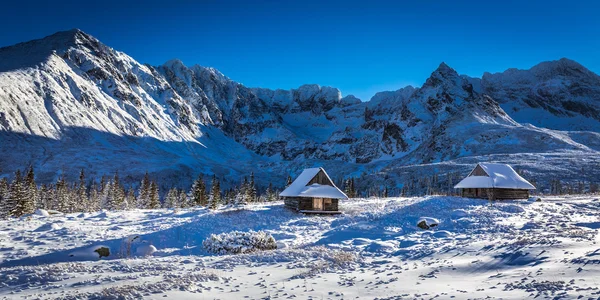 Disfruta de tu invierno en las montañas — Foto de Stock