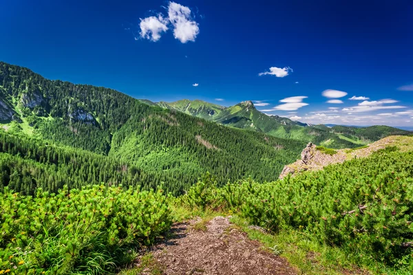 Vista do vale da montanha a partir do pico — Fotografia de Stock