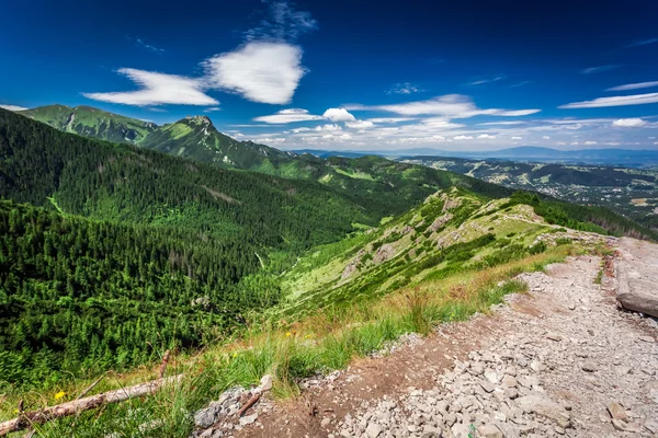 Stony footpath in the mountains — Stock Photo, Image
