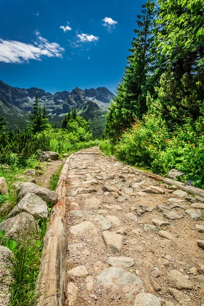 Stony mountains trail in Tatras — Stock Photo, Image