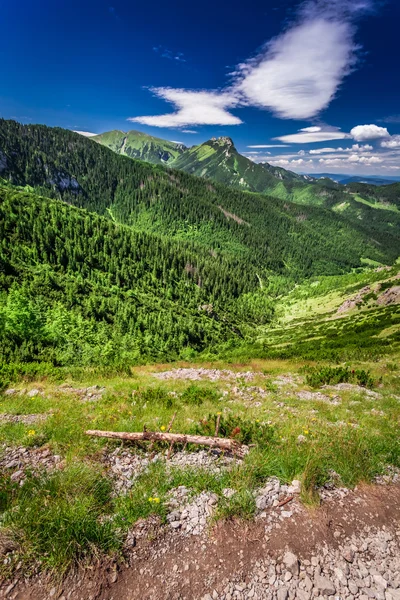 View of the mountain valley from the top — Stock Photo, Image