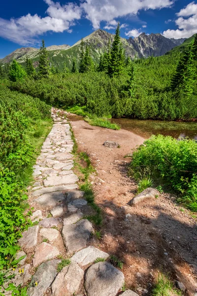 Stony trail in the mountains — Stock Photo, Image
