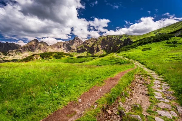 Stony trail in de Tatra gebergte — Stockfoto