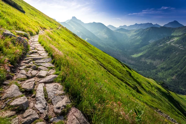 Passo a passo nas montanhas ao nascer do sol — Fotografia de Stock