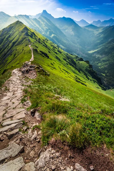 Gyalogút a hegyekben, Lengyelország — Stock Fotó