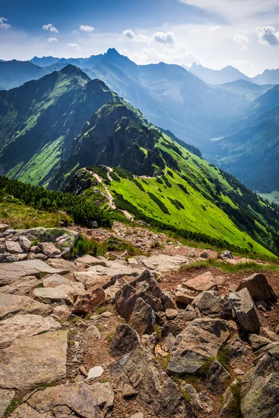 Tatras dağlarda yaz iz — Stok fotoğraf