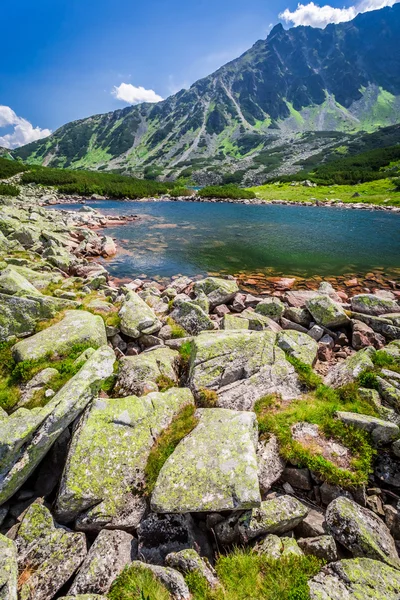 Tatra Dağları'nda harika göl — Stok fotoğraf