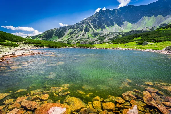 Maravilloso lago en las montañas — Foto de Stock