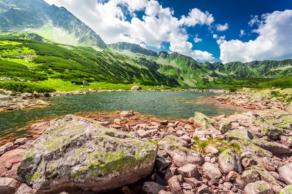 Meraviglioso stagno in montagna — Foto Stock