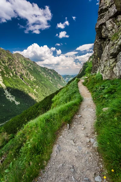 Bergen trail leidt de top op zonnige dag — Stockfoto