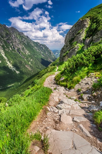 Bergen stig som leder upp på sommaren — Stockfoto