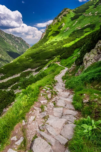 Zirve güneşli gün önde gelen dağlar iz — Stok fotoğraf