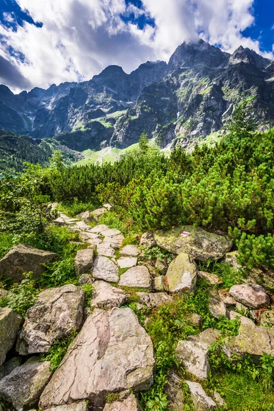 Steinbergweg, der zum Gipfel führt — Stockfoto