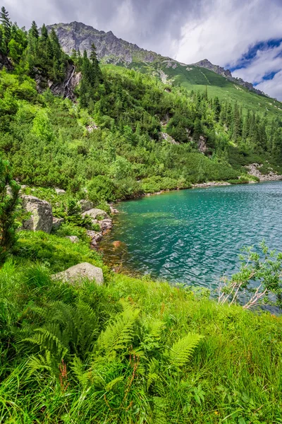 Maravilloso estanque en las montañas Tatra al amanecer — Foto de Stock