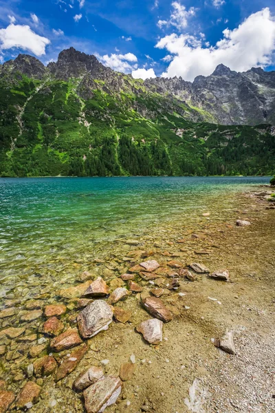 Wunderschöner Teich mitten in den Bergen im Sommer — Stockfoto