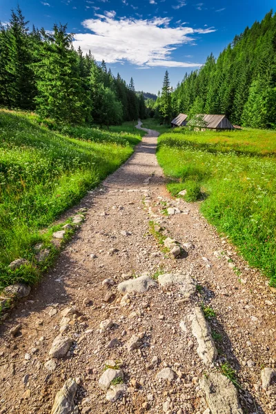 Beautiful valley in the Tatra Mountains at summer — Stock Photo, Image