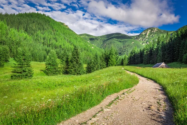 Vackra dalen i Tatrabergen i solnedgången — Stockfoto