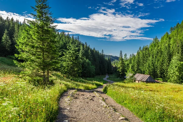 Beautiful valley in the mountains at summer — Stock Photo, Image