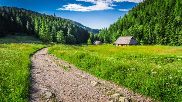 Magnifique vallée dans les montagnes Tatra au coucher du soleil — Photo