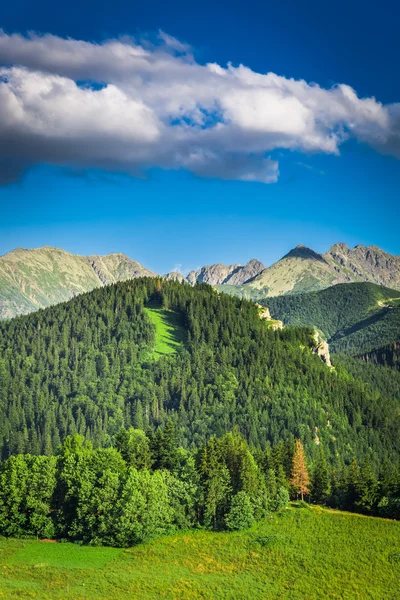 Utsikt över bergen på sommaren — Stockfoto