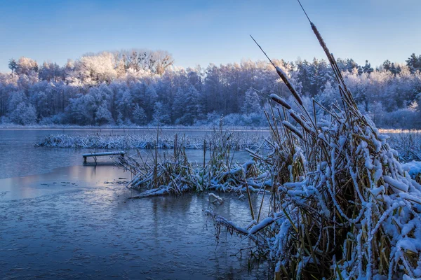 Nascer do sol no lago de inverno coberto de neve — Fotografia de Stock