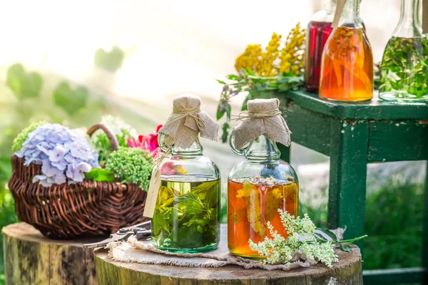 Curación de hierbas en botellas con hierbas y alcohol — Foto de Stock