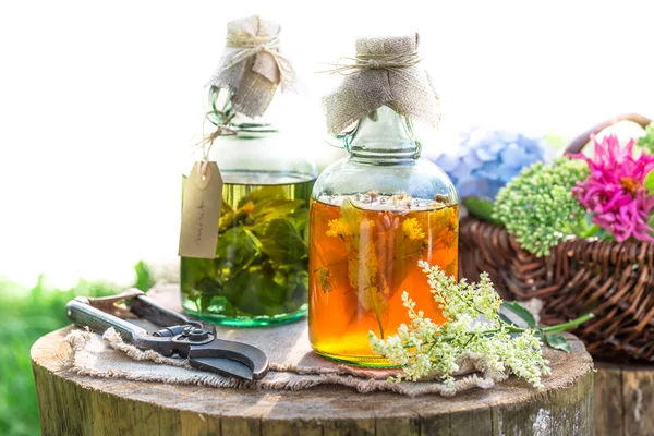 Healing herbs in bottles as an alternative cure — Stock Photo, Image