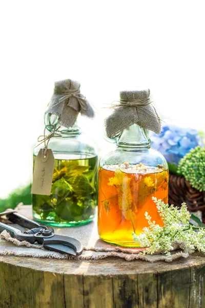 Healing herbs in bottles as natural medicine — Stock Photo, Image