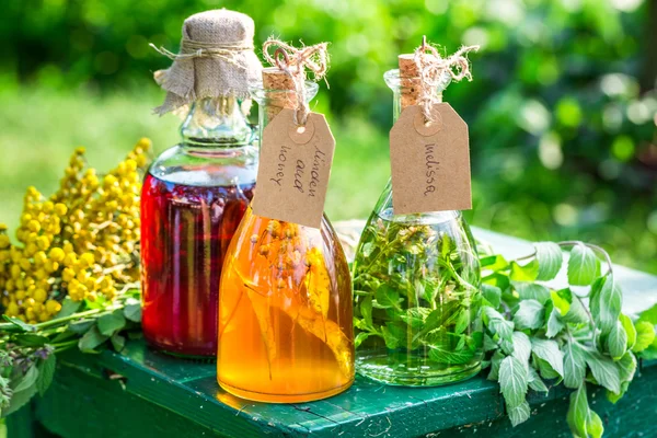 Teinture de guérison en bouteilles avec des herbes et de l'alcool — Photo