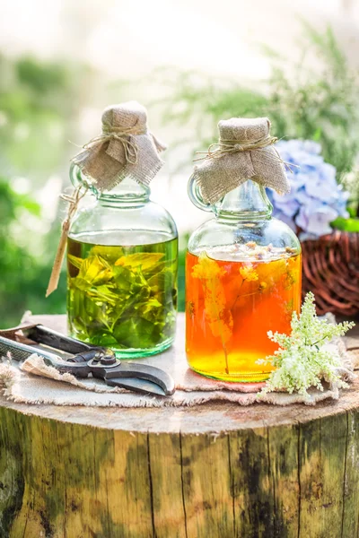 Healing tinktur i flaskor som en alternativa botemedel — Stockfoto