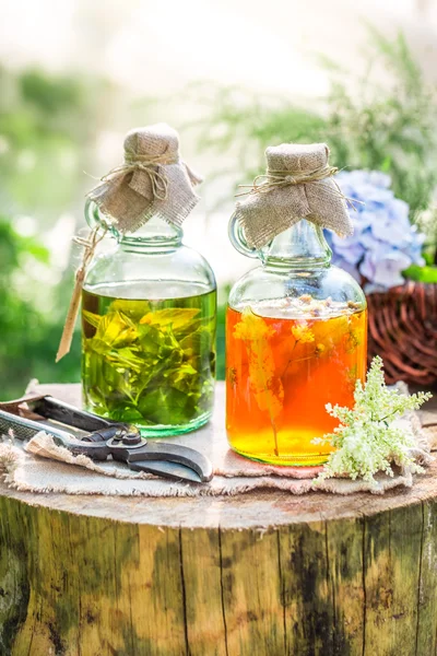 Curación de tintura en botellas como una cura alternativa — Foto de Stock