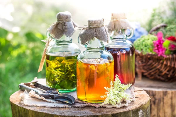 Teinture de guérison en bouteilles comme médecine naturelle — Photo