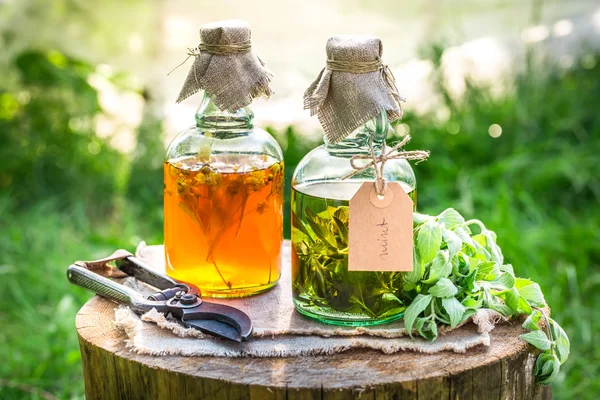 Hausgemachte Tinktur mit Alkohol und Kräutern — Stockfoto