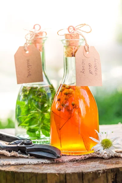 Homemade tincture as an alternative cure — Stock Photo, Image