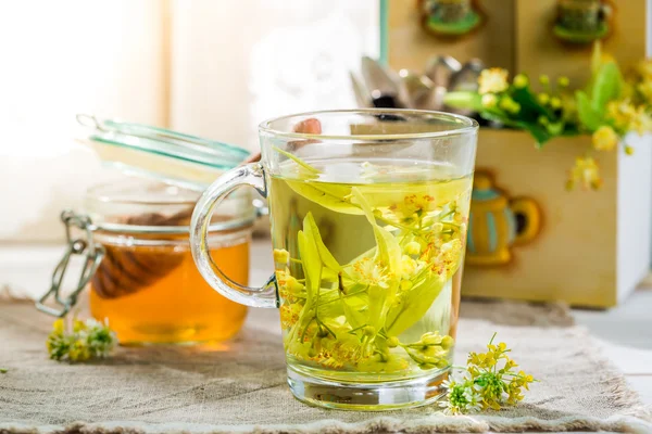 Té saludable con miel — Foto de Stock